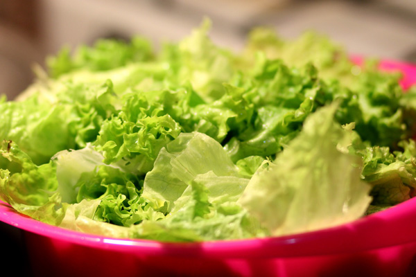 Şubatta zam şampiyonu kıvırcık salata