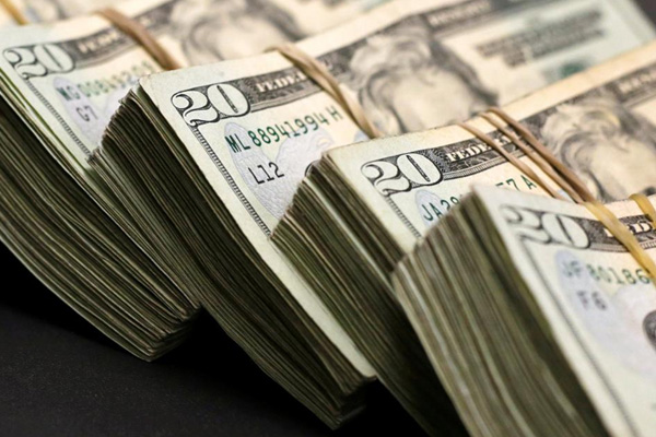 Merkez Bankası'nın faiz kararı sonrası dolarda ani yükseliş