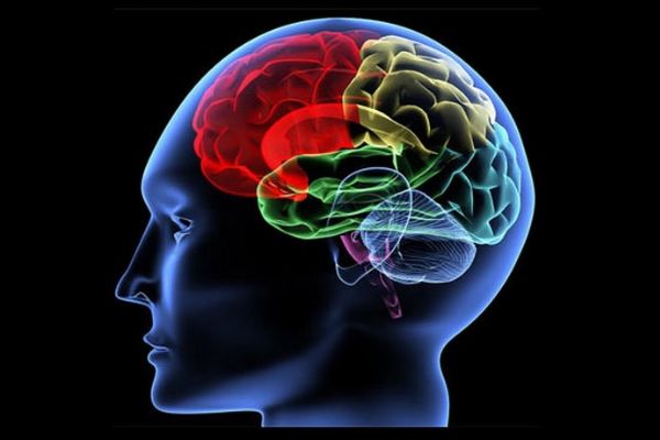 25 soruda beyin yaşınızı öğrenin