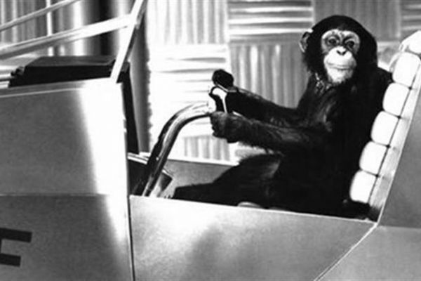 Uzaya fırlatılan hayvanların acı sonu