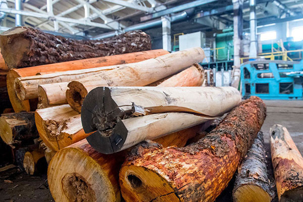 Ukraynalılar doğalgaz zamları yüzünden oduna dönüş yaptı