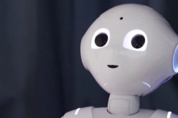 Üniversite profesörünün robot asistanı