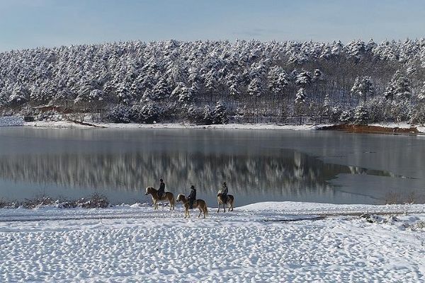 Uludağ'ın eteklerinde atla gezinti
