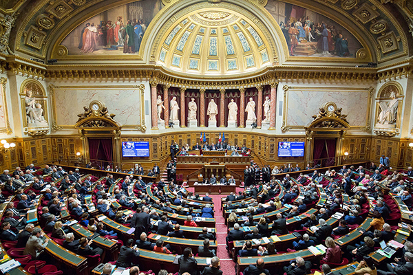 Fransa'da Senato'dan, Macron'a ağır darbe!