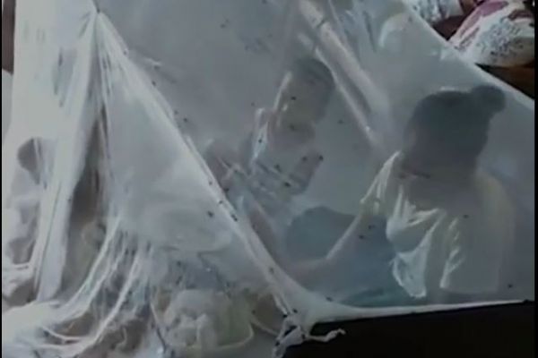 Sinek istilasından dolayı cibinlik altında yemek yiyorlar