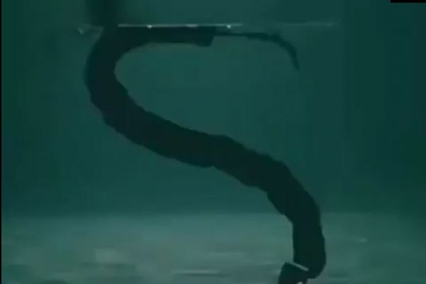 Eelume deniz altı yılan robotu