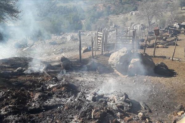 Ahırda çıkan yangında 100 küçükbaş hayvan telef oldu