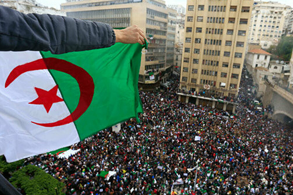 'BAE, Cezayir'deki 'Sisi sistemi'ni çoğaltmak istiyor'