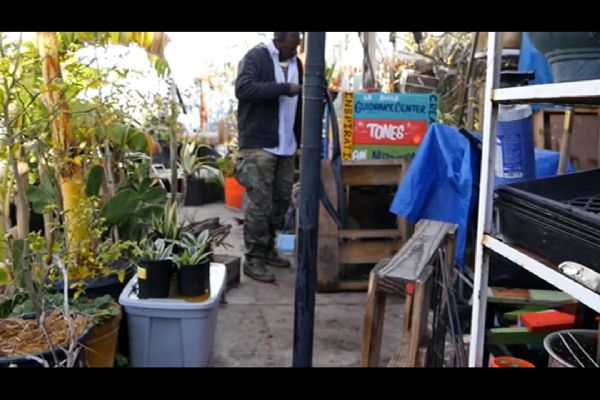 Gangster bahçıvan, organik üretim için gıda sektörüne savaş açtı