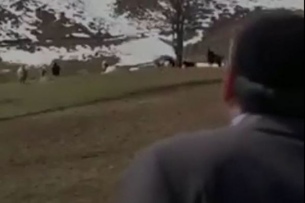 Aradan 8 yıl geçse de muhteşem amca yine aynı