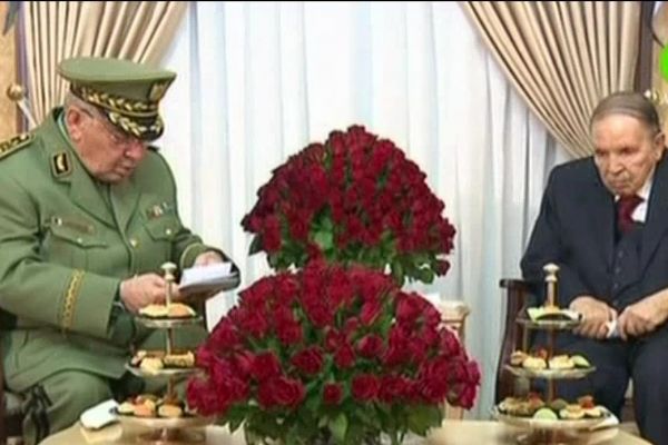 Cezayir ordusunun lideri, Bouteflika'nın Cumhurbaşkanlığından çekilmesini istedi