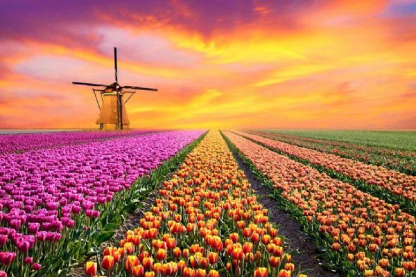 Rengarenk ilkbahar gezi rotaları