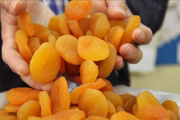 Malatya'dan 112 ülkeye kuru kayısı ihracatı