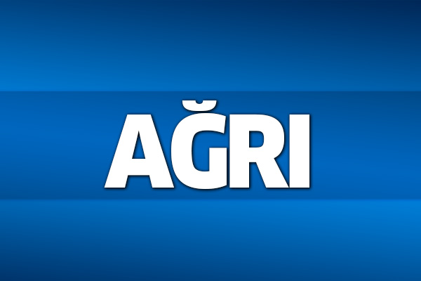 31 Mart 2019 Ağrı seçim sonuçları