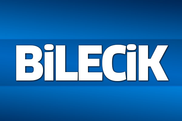 31 Mart 2019 Bilecik seçim sonuçları