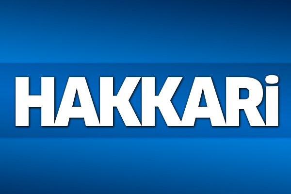 31 Mart 2019 Hakkâri seçim sonuçları