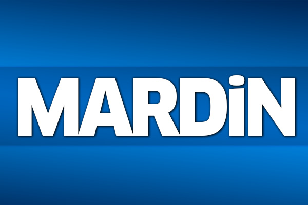 31 Mart 2019 Mardin seçim sonuçları