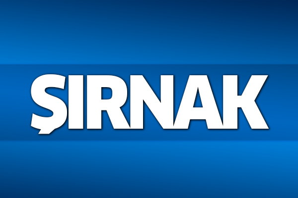 31 Mart 2019 Şırnak seçim sonuçları