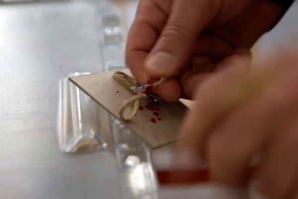 Türkiye genelinde oy verme işlemi tamamlandı