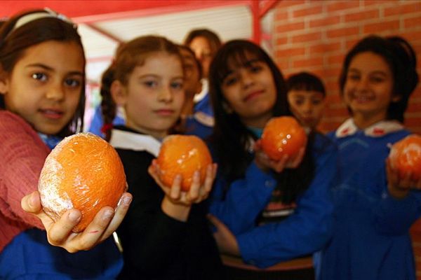 Beslenme okuryazarlığı okulda başlayacak