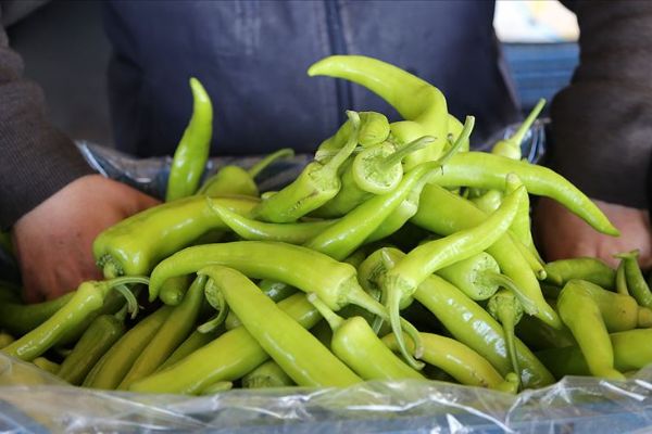 Mart ayının zam şampiyonu çarliston biber