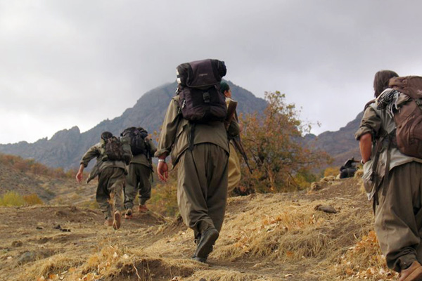 Şırnak'ta 5 PKK'lı terörist teslim oldu