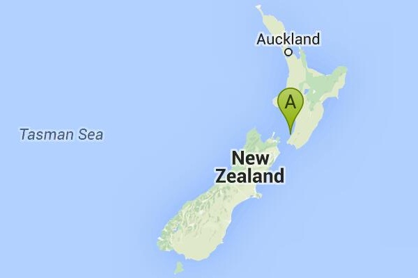 Göçmen dilekçesi parti sitesinden silindi, suç 'duygusal memura' kaldı