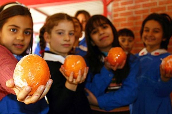 Beslenme okuryazarlığı okulda başlayacak