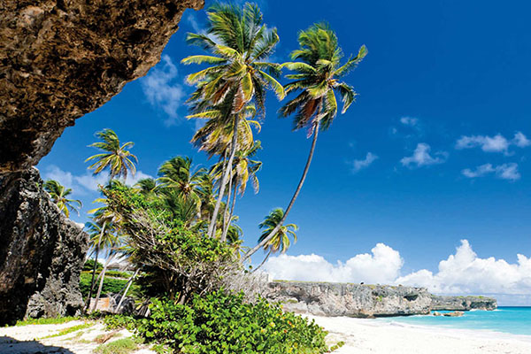 BAE, işgal ettiği Sokotra Adası'nda kalıcı bir askeri üs inşa ediyor