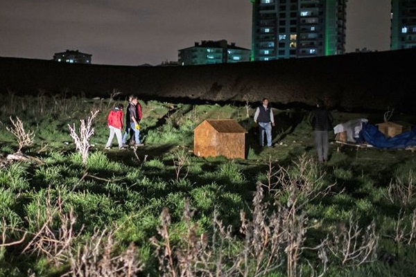 Ankara Batıkent'te sokak köpeklerini zehirlediler