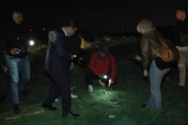 Ankara Batıkent'te 13 sokak köpeği zehirlendi