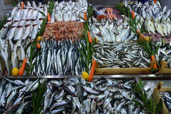 'Denizlerde av yasağı 1 Nisan'a çekilmeli'