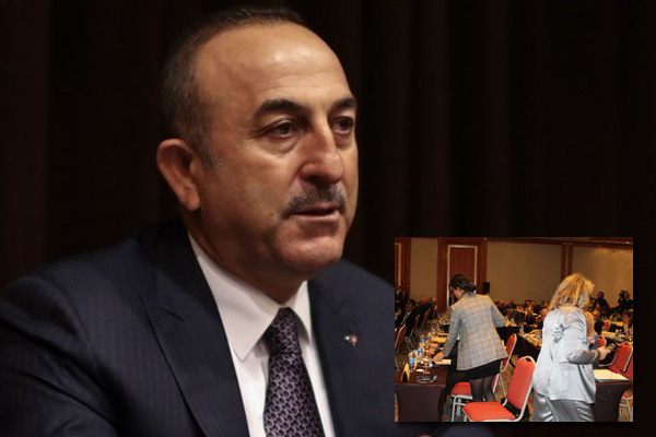 Çavuşoğlu eleştirdi, Fransız parlementerler salonu terk etti