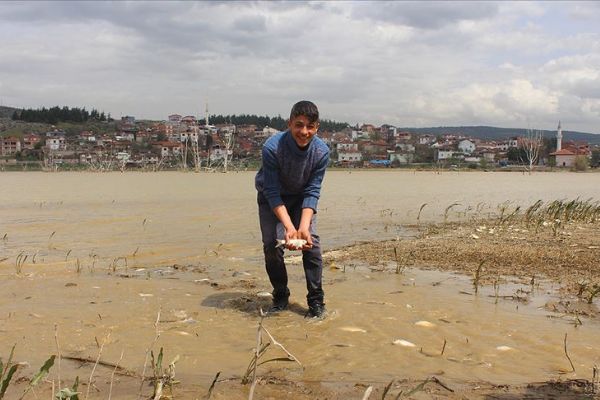Tarladan balık topladılar