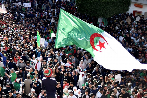 Cezayir Genelkurmay Başkanı: Tüm seçenekleri değerlendiriyoruz