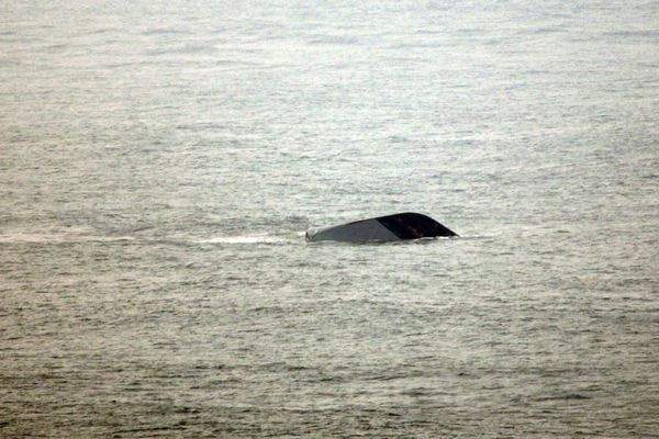 Kongo'da tekne battı: 150 kişi kayıp