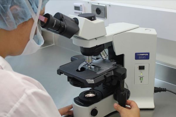 Kanada'da laboratuvarda üretilen etler yiyecek sektöründe kullanılacak