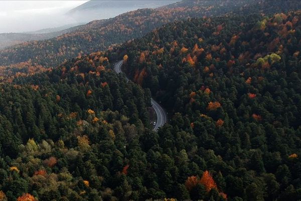 Fransa ile 150 milyon avroluk 'ormancılık' anlaşması