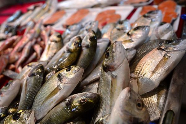 'Su ürünleri ihracatında 2023 hedefi 1,5 milyar dolar'