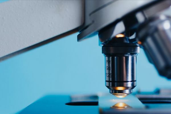 Türk ürünleri Uluslararası Charing Cross Sempozyumu'nda