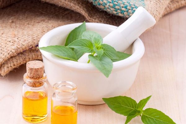 Tedavi amaçlı kullanılacak bitkilere dikkat