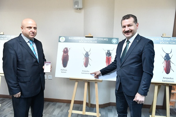 İşte Balıkesir’de keşfedilen üç yeni böcek türü