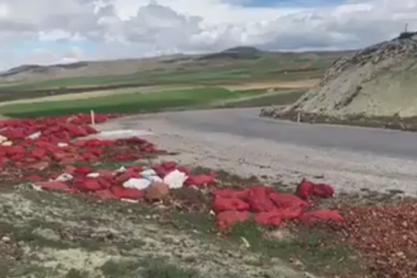 Tonlarca soğanı çürümeye bıraktılar