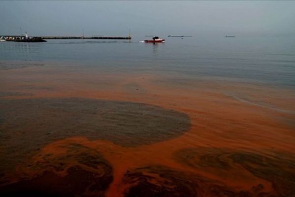 Marmara Denizi'nin rengi değişti