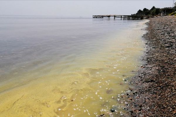 Ayvacık sahilinde denizin rengi değişti