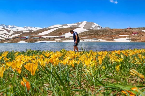 Milli ilacın temelini şifalı bitkiler oluşturacak
