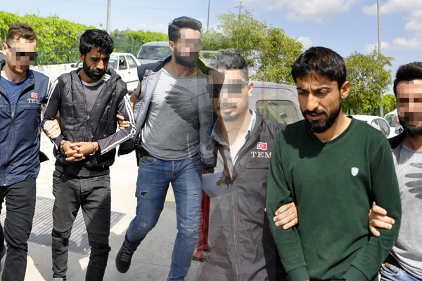 Adana ve Şanlıurfa'daki terör operasyonu