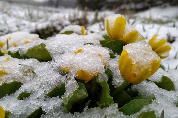 Kars'ta mayıs ayında kar yağışı