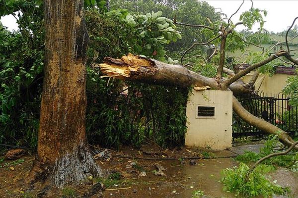 Hindistan'daki Fani kasırgasında 8 kişi hayatını kaybetti