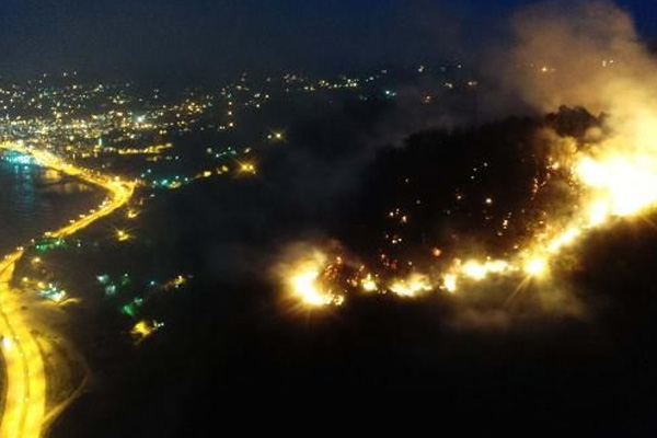 Giresun'daki orman yangını 15,5 saat sonra söndü